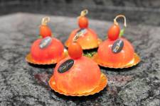 Fabrice QUINTON - PETIT PIXEL